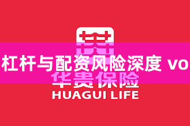 杠杆与配资风险深度 vo